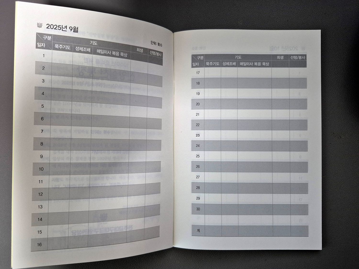 KakaoTalk_Photo_2025-08-24-09-35-07 003.jpeg