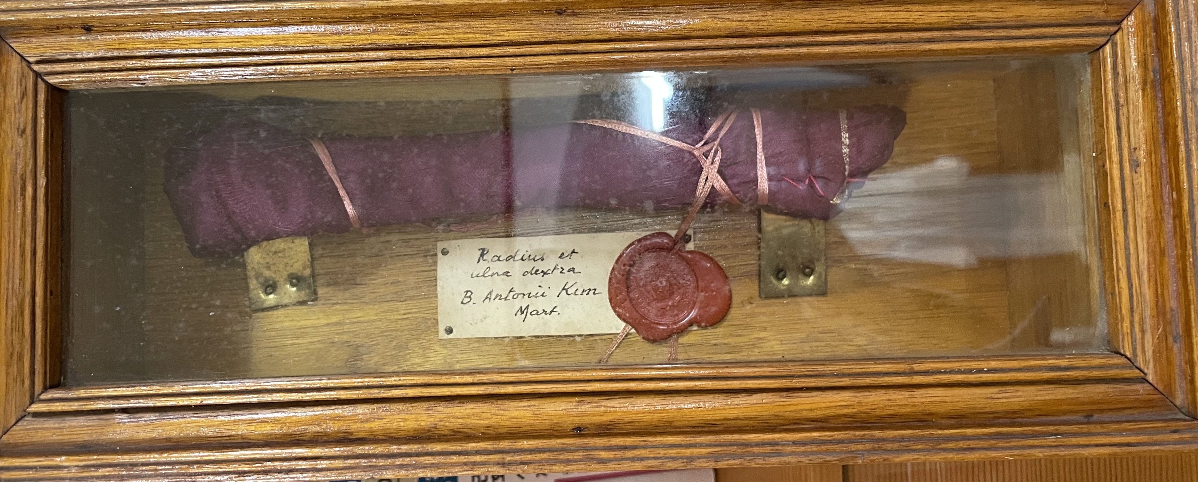 김성우 안토니오 성인 유해함.JPG