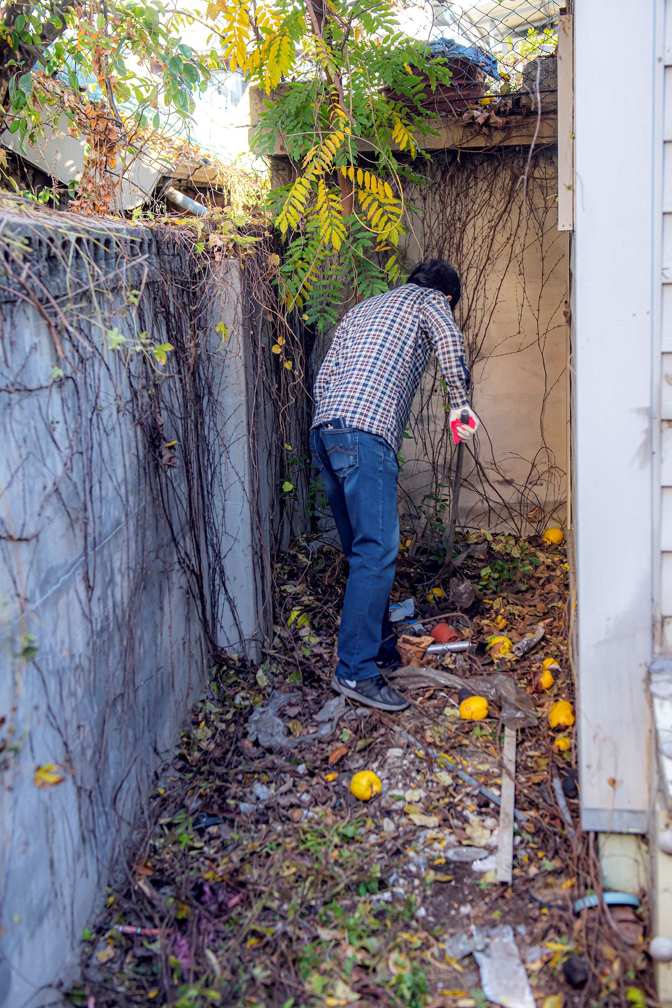 KakaoTalk_Photo_2025-11-15-17-05-47 019.jpeg