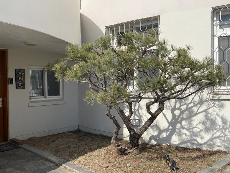 d0684502e1766f7b3f594199479434dc_1770695994_9517.jpeg