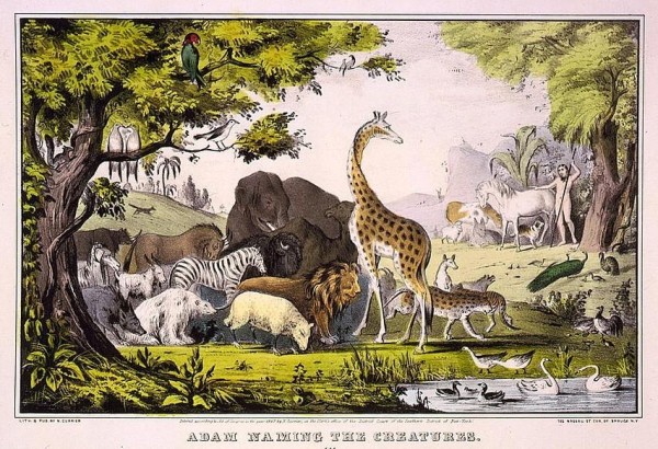 32520d78a237286d9da546c37d0d783b_1776632428_3865.jpeg