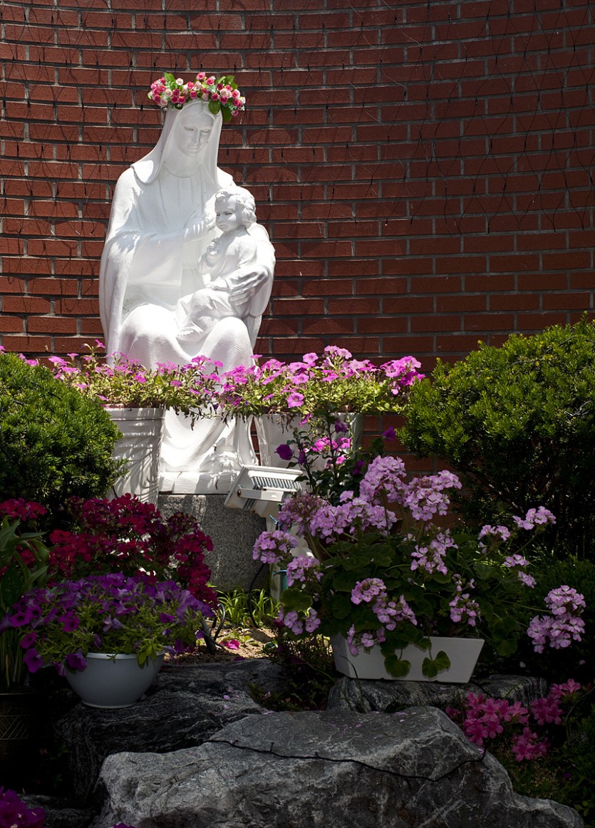 DSC_0509.jpg