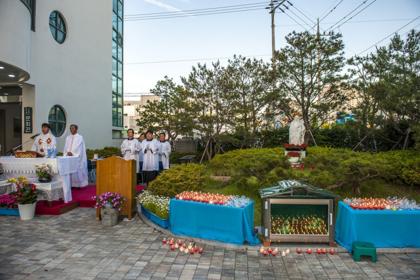 DSC_4833.jpg
