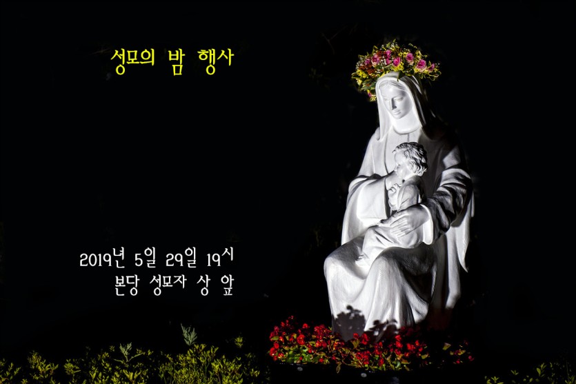 DSC4861-1.jpg