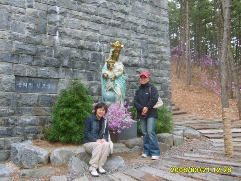 S5001263.jpg
