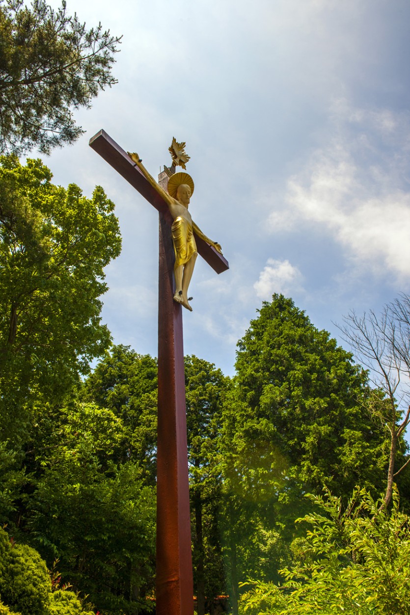 DSC_5441.jpg