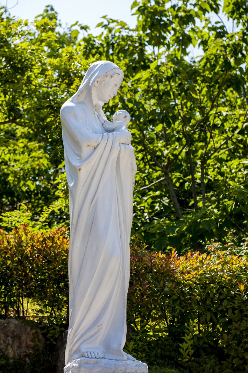 DSC_5481.jpg