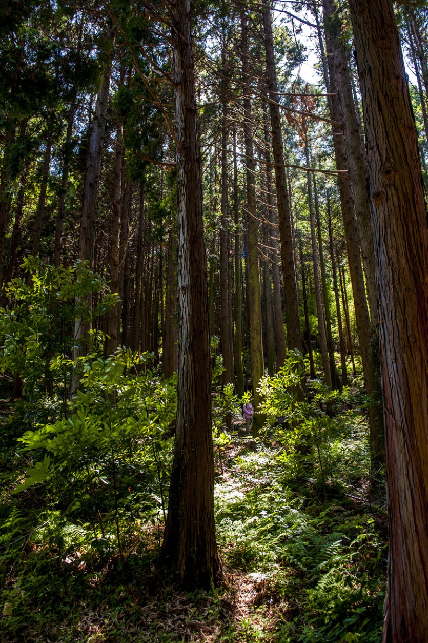 DSC_5466.jpg