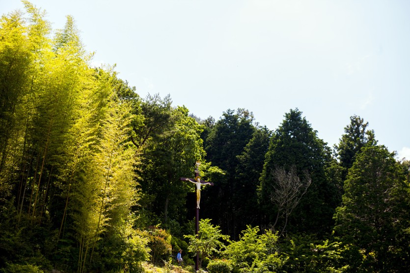 DSC_5477.jpg