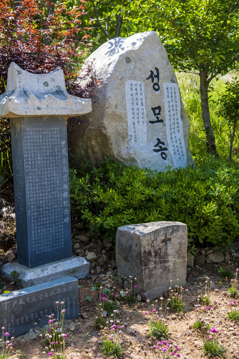 DSC_5482.jpg