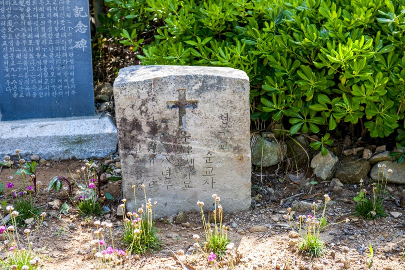 DSC_5483.jpg