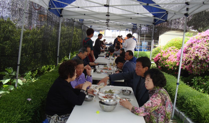 DSC02742-0.jpg