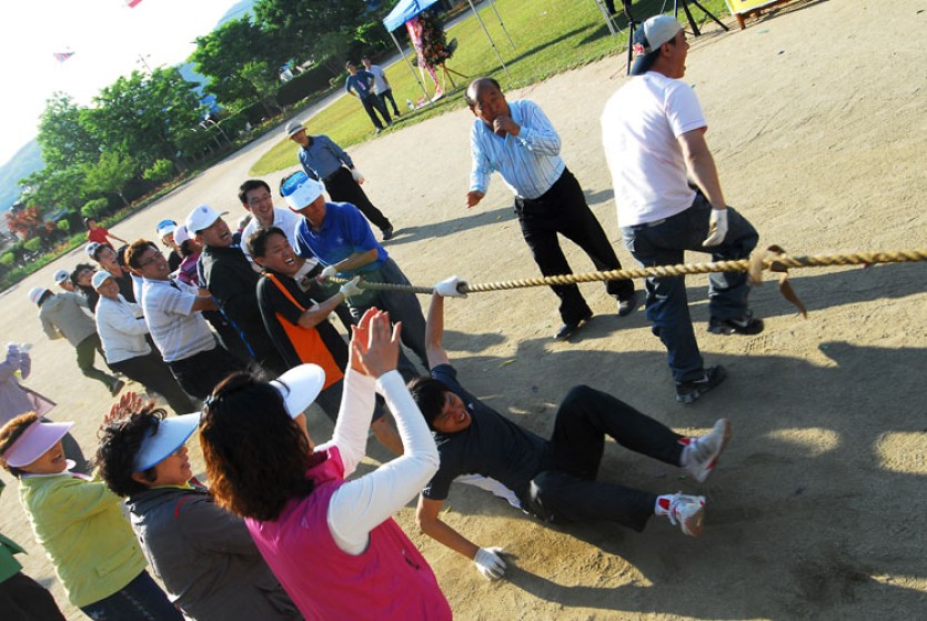 DSC1181.jpg