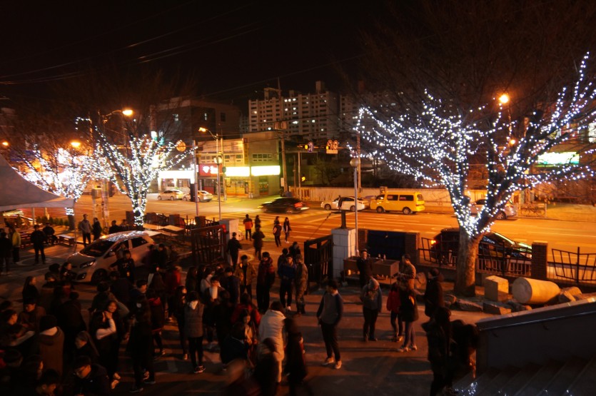DSC09591-0.jpg