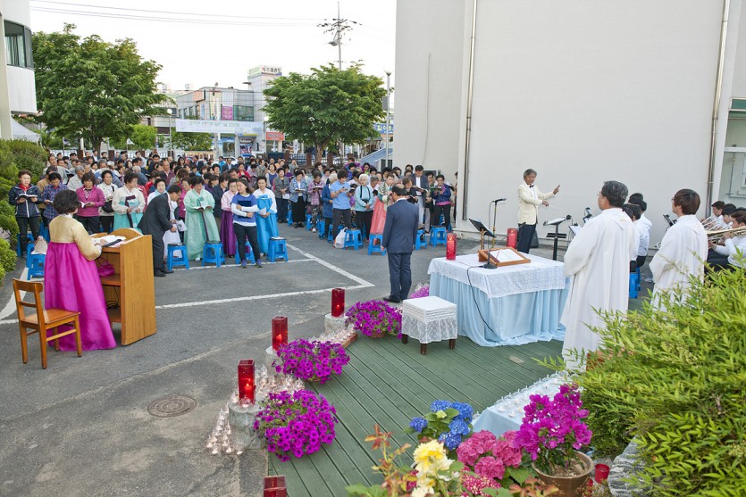 DSC_9528.jpg