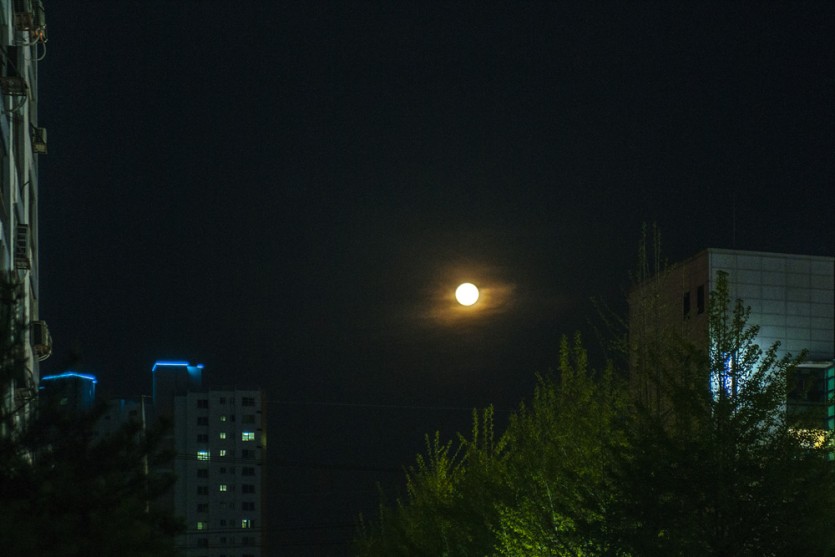 DSC_8903.jpg
