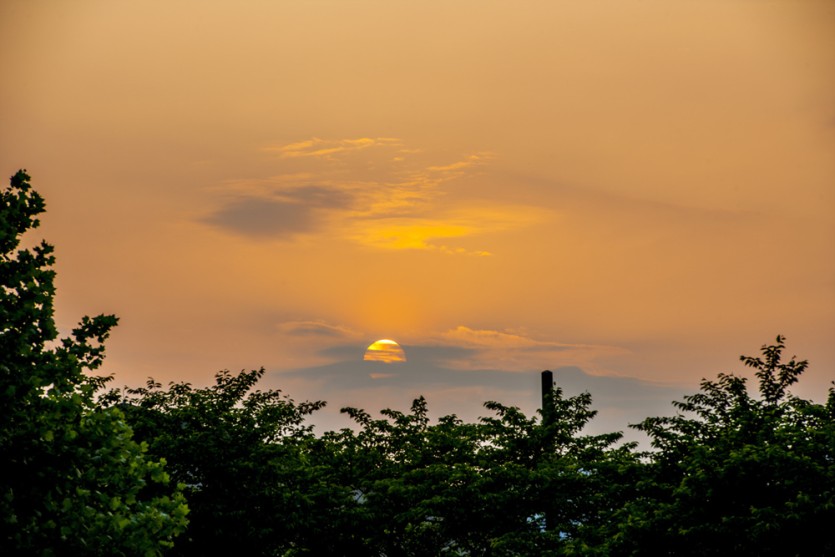 DSC_9582.jpg