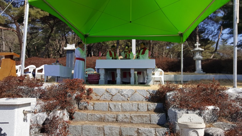 20180301_113129.jpg