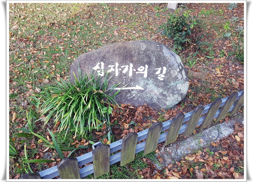 KakaoTalk_20191012_194408759.jpg