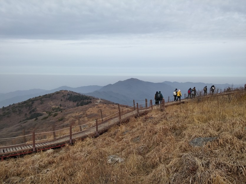 20181201_112457_HDR.jpg