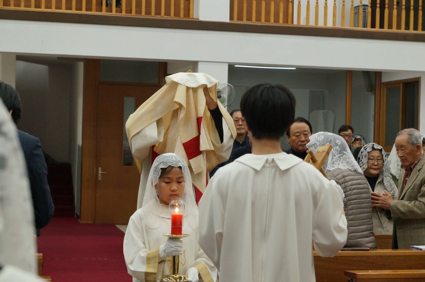 DSC05517.JPG